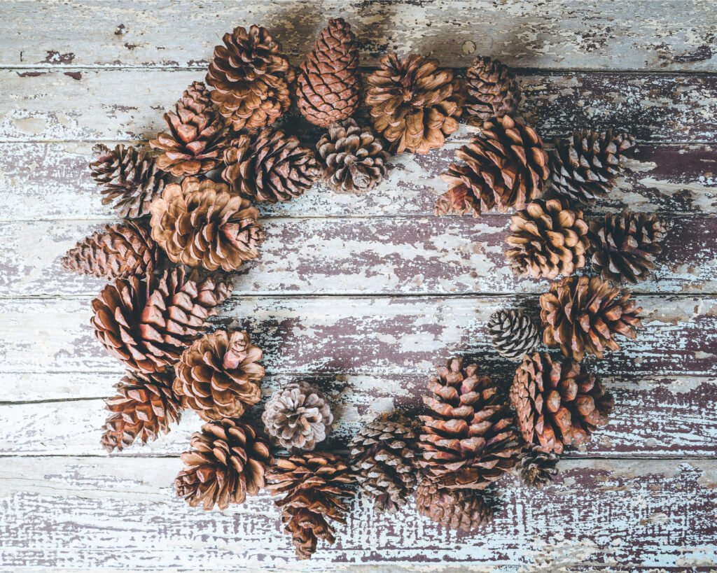 Sweetgum Foraged Wreath: for thanks giving