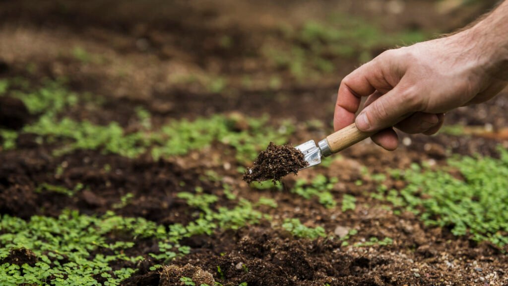 soil testing