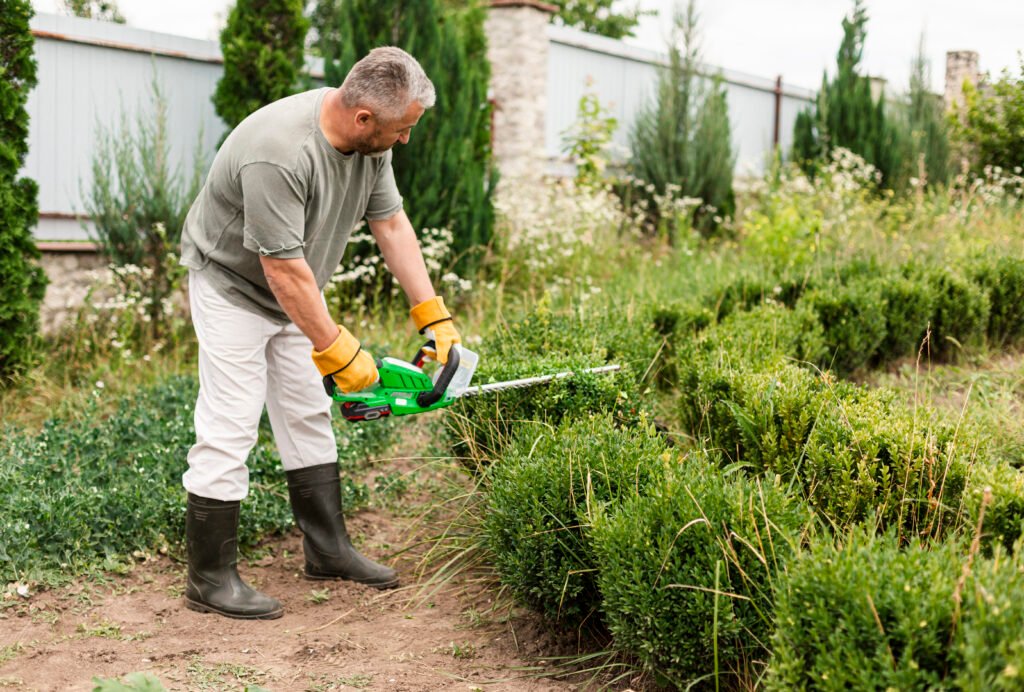 weed cleaning from plant