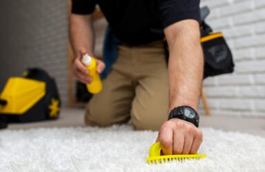 How to Maintain Your Carpet After Installation