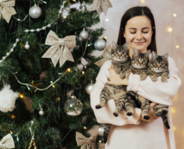 Cat-Proof Your Christmas Tree Decor