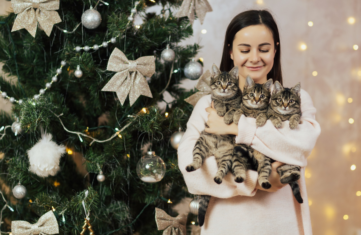 Cat-Proof Your Christmas Tree Decor