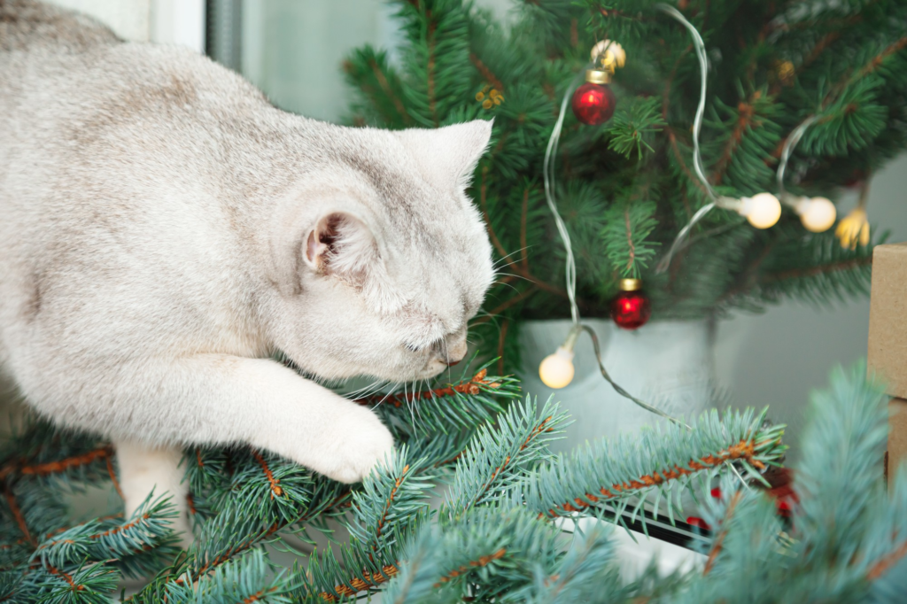 Tips for cat-proofing Christmas tree