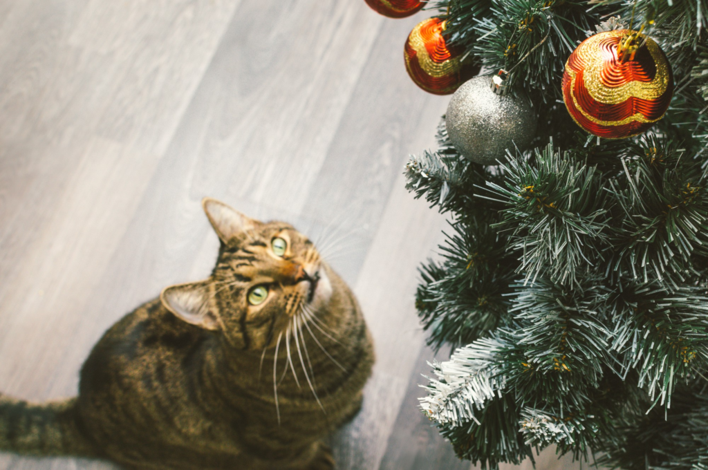 Pet safe Christmas decor hacks