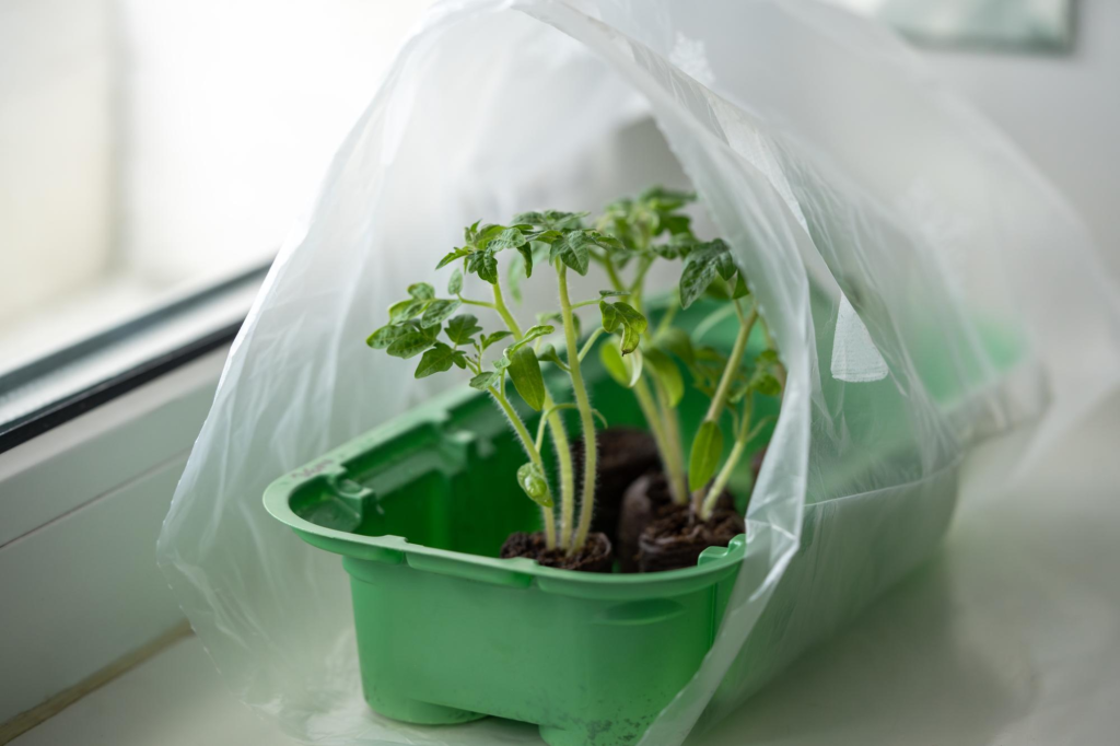 plastic covers for small plants for winter 