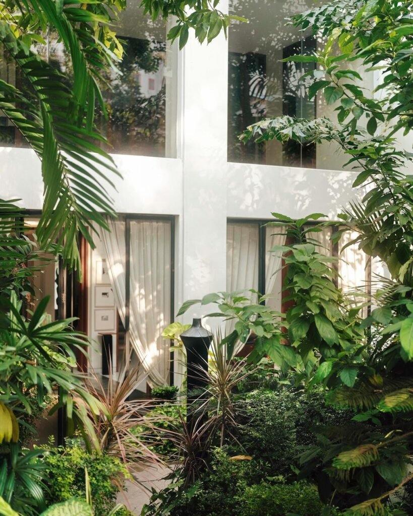 Anamika Khanna-inspired home exterior surrounded by lush tropical greenery and indoor plants.