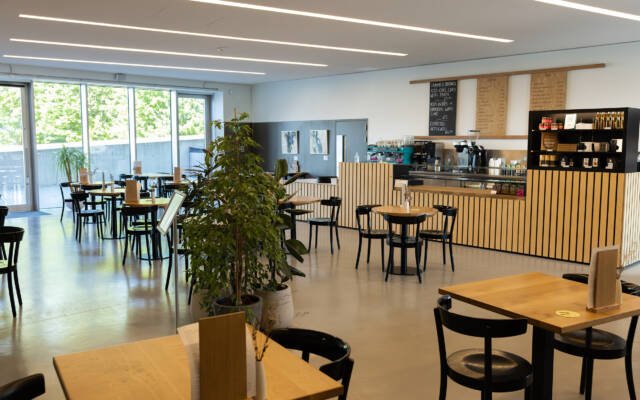 Modern café interior with wooden tables, black chairs, indoor plants, and a bright coffee counter.